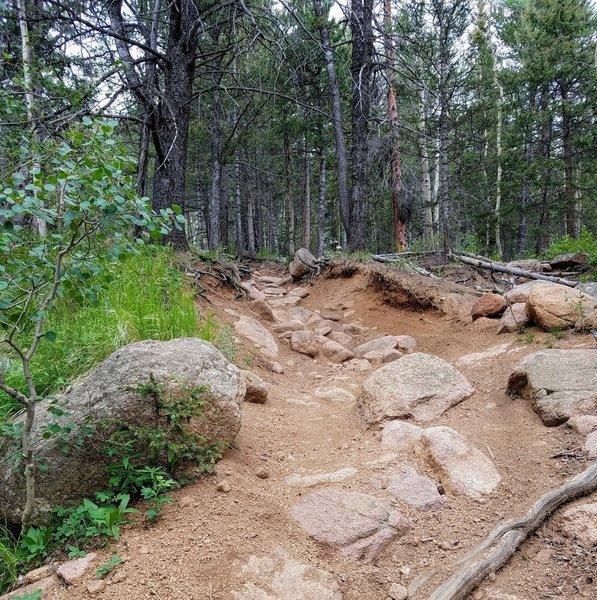 This part of the trail gets rocky and a bit steeper.