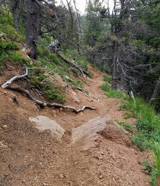 Arduous section of the trail with cascading water from North Cheyenne Creek alongside.