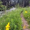 Typical terrain and scenery for the trail