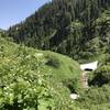 Deep snow pockets in the early summer. The trail is mostly clear of snow however.