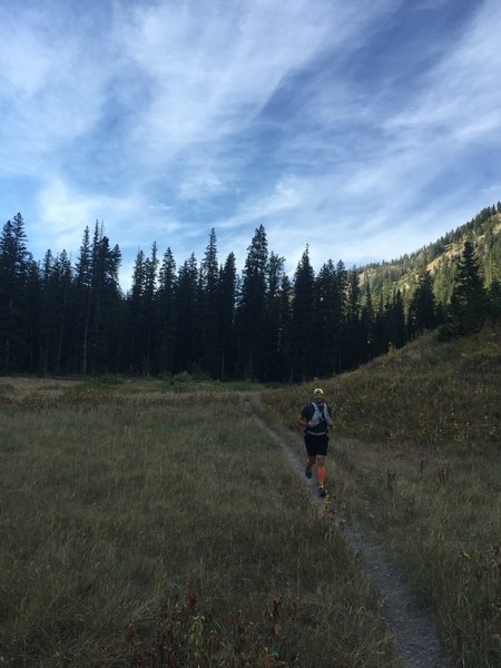 The start of the middle section of Waterfall Canyon that is primarily flat and easy to run.