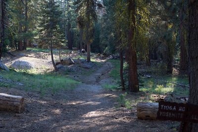 The Lehamite Creek Trail departs the Upper Yosemite Falls to North Dome Trail and begins climbing toward Tioga Road.