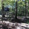 A deer blind within a hundred yards of Wallyworld? A fort for the kids? A lookout for nazi spies? Who knows? This cool little aerie actually overlooks a small plot of well-tended cornina!