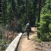 Hiking south on the PCT.
