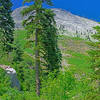 High on Marble Gap Trail. They call it white marble, but in this area it is actually a beautiful shade of light blue.