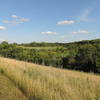 Marshes on the Eco Loop Trail.