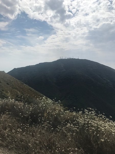 View of Santiago Peak from the trail up to Modjeska.