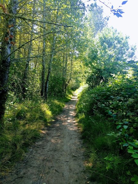 Trail to Eola Bend Park at Minto-Brown Park.