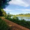 Willamette River at Minto-Brown Park.