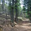 The first couple miles follow an old forest service road.