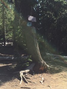 Closer shot of Flagline Tie/Flagline intersection.