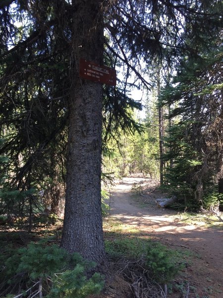 Sign at the junction heading out to the old Swampy shelter - go out this trail you see in the photo.