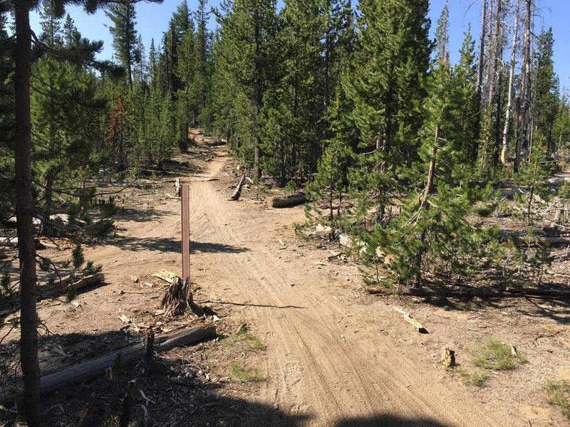 The 4-way intersection at mile 6.4. Go right on Swampy Tie Trail.