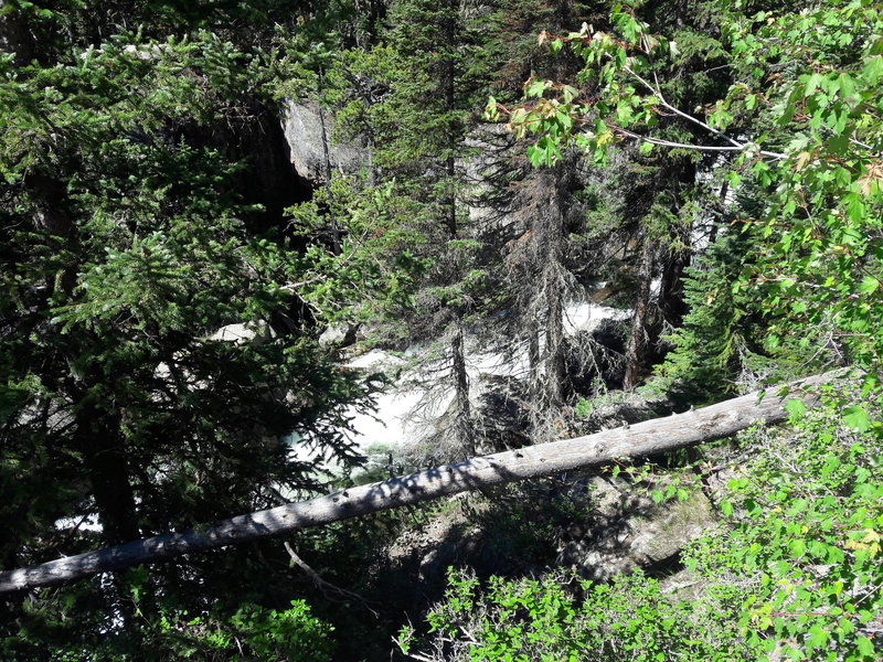 Timberline Falls