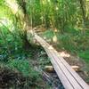 Raised trail through the low country