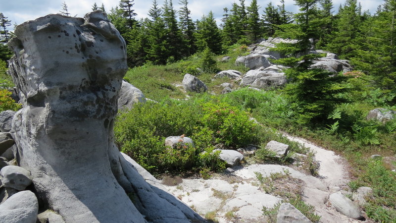 The wind carves out these sandstone rock formations, and the trail bed is more akin to beach sand than anything else on Rocky Ridge Trail in the Dolly Sods Wilderness Area.