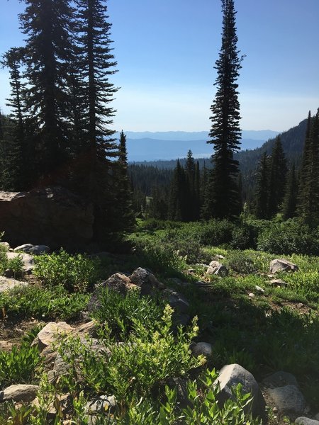 Looking down from the top of the trail.