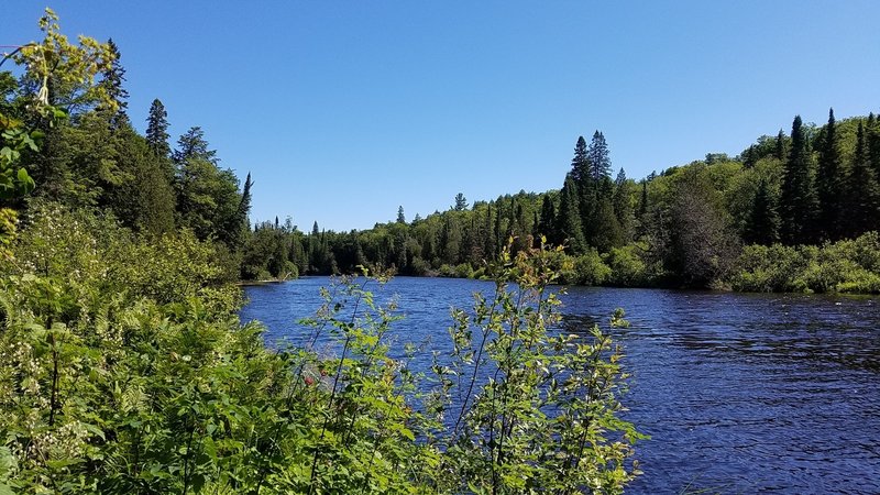 Tahquamenon River from the trail