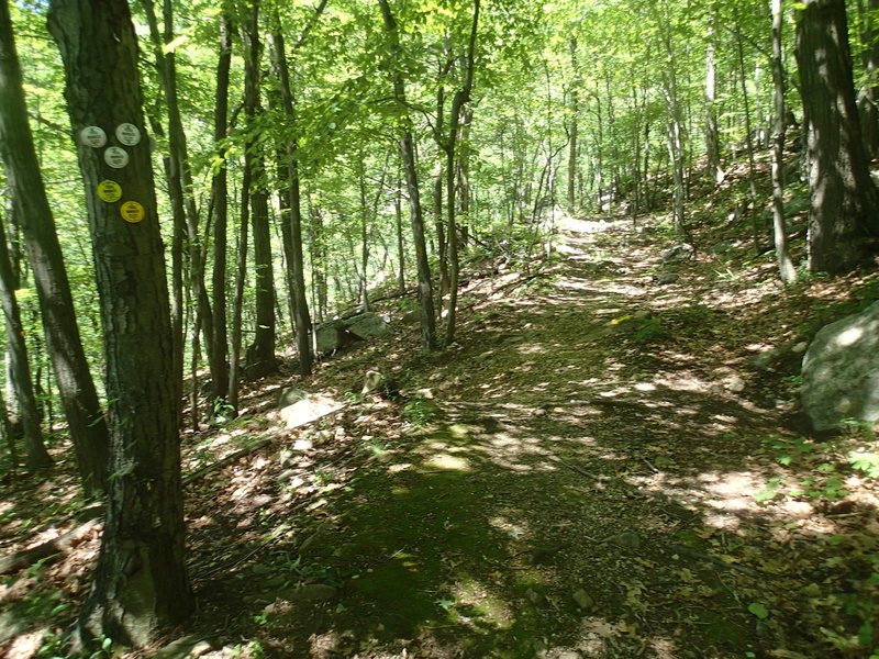 End of Fishkill Ridge Trail