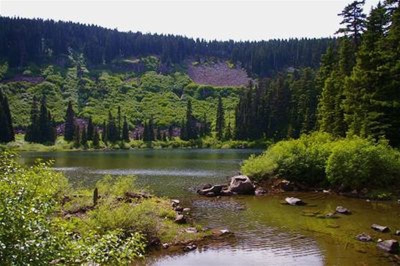 North Lake from the dam