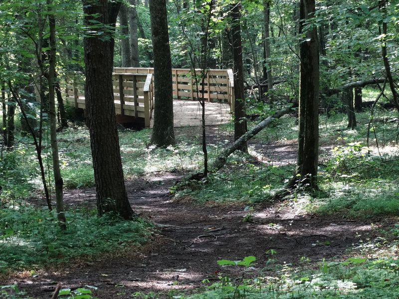 There are more than 17 pedestrian bridges in Leopold's Preserve.