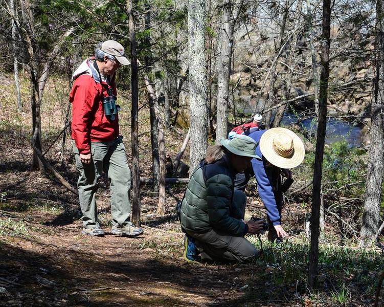 Members of the Virginia Native Plant Society (VNPS) checking out Early Saxifrage and Trout Lilies