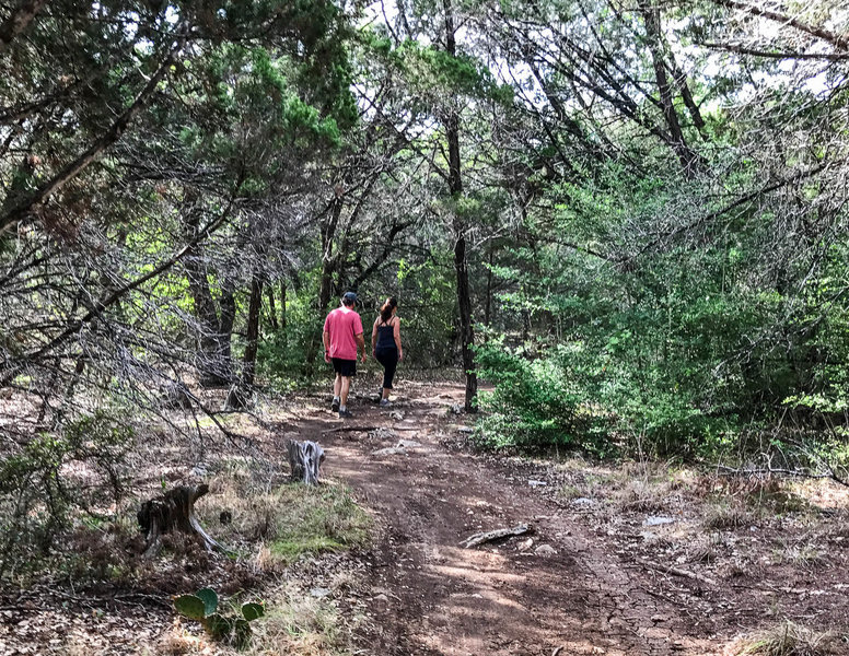 A shady section of the trail.