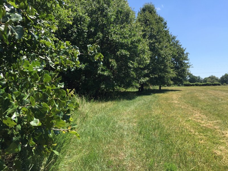 Outer edge takes you along field near Hale Lake Rd.