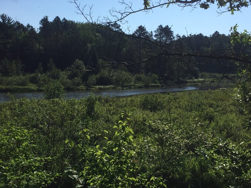 View of Rocky Run Springs Lake from the trail, north of S. Blue Lake.