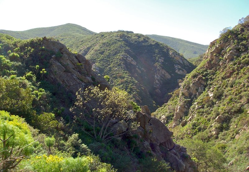 Views from the La Jolla Canyon Trail.