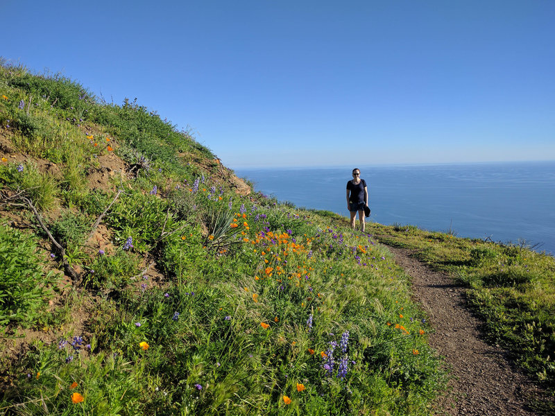 Pt. Mugu views (and flowers)!