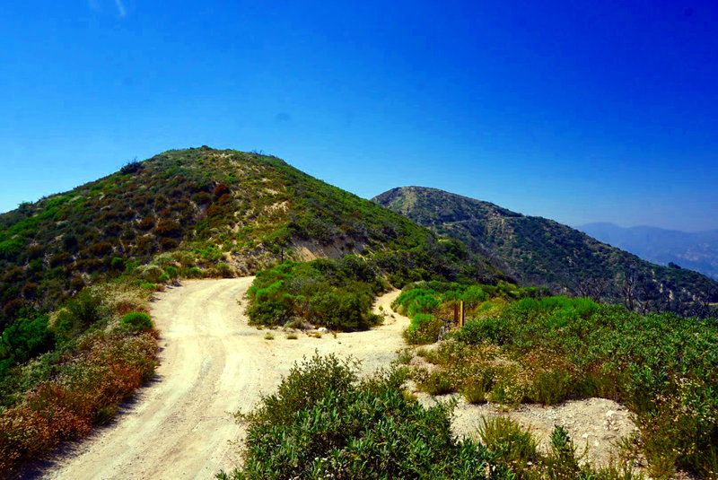 Saddle at the top of Grizzly Flats Road. Lukens Truck Trail continues its climb to the peak on the left.