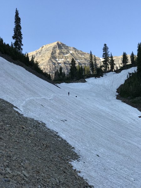 Mt. Timpanogos looms over the the last snowfield crossing before a hiker and his dog reach Timpanogos Basin.