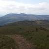 Milshake trail views.