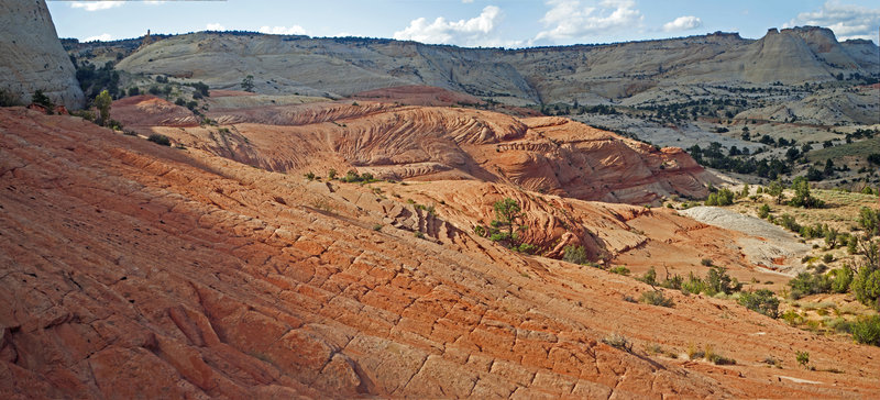 Incredibly beautiful and seemingly unknown slick-rock formations an easy 1/2 mile from Hwy 12.