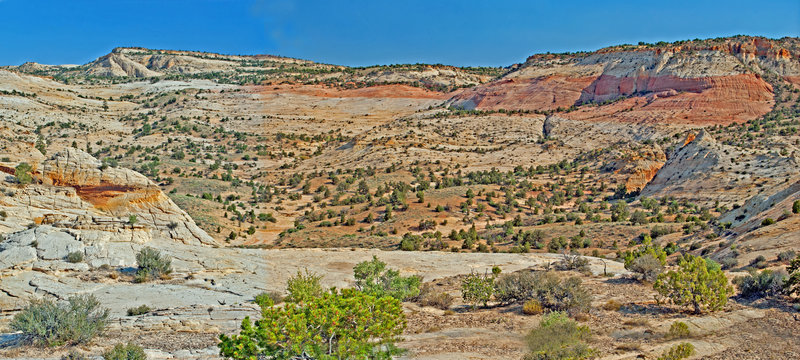 Upper Phipps Wash.Michael Kelsey in "Canyon Hiking Guide to Colorado Plateau" recommends hiking down draw coming from right center. Route described here is shorter and more scenic.