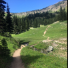 Soft sandy singletrack through meadows.