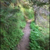 A favorite part of this trail: soft shaded singletrack.