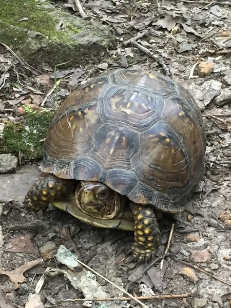 Old trail friends are the best!