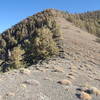 View south from Forgotten Pass. Some small campsites in the trees to the left.