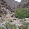 Part of Beveridge site. Ruins and relics extend up and down the canyon from Frenchies to below this point.