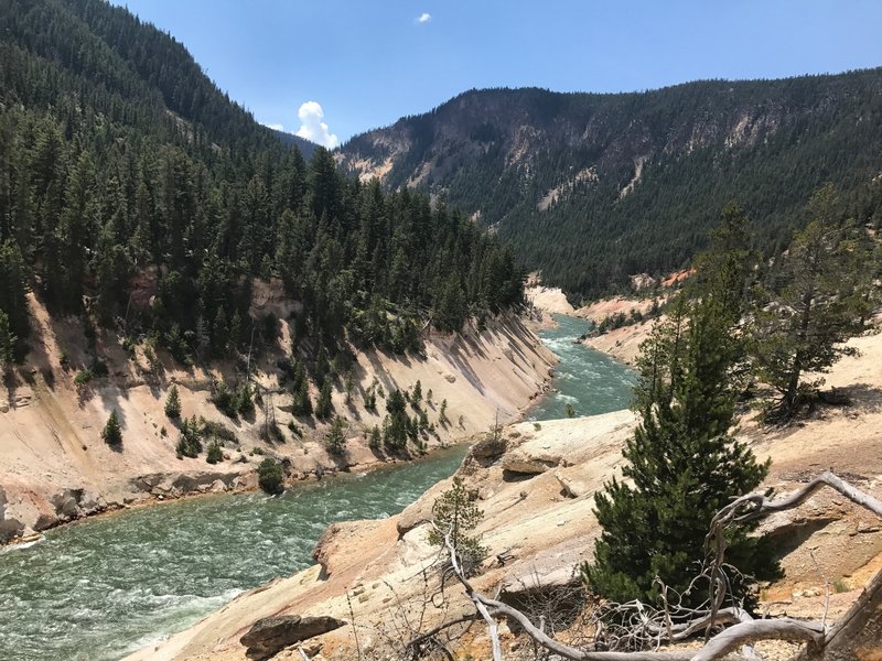 Grand Canyon of Yellowstone