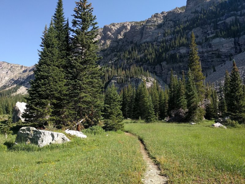 Nice meadows and easy going on the St. Vrain Glacier Trail.