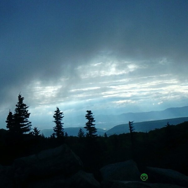 Dolly sods wilderness