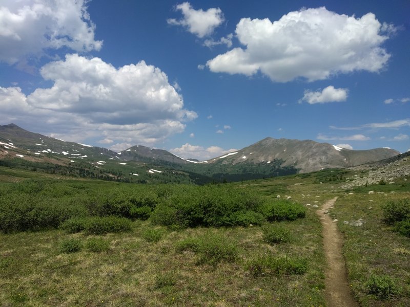 High alpine on the CDT.