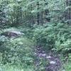 Entrance to the trail, about 100 paces from the parking area, on the right.  Not obvious unless you know what you're looking for.