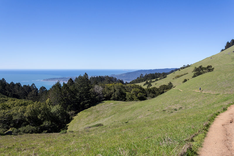 View from Bare Knoll towards the coast