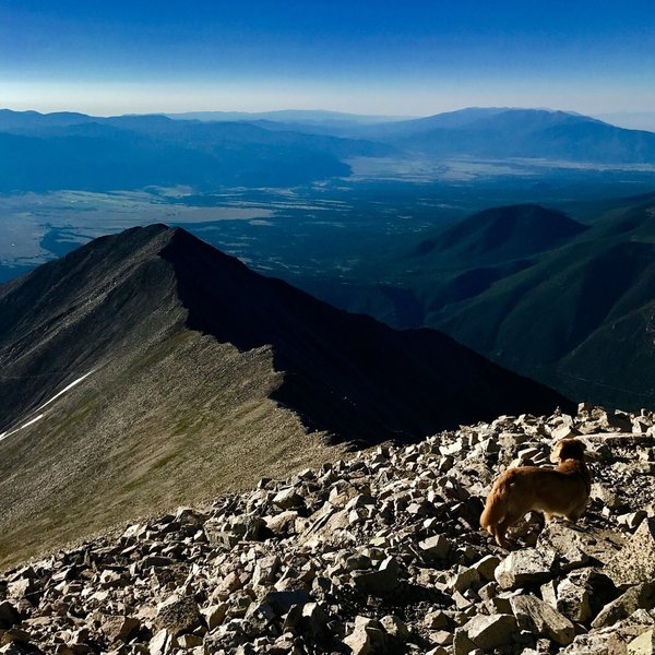 Mt. Princeton Summit view of Tigger Peak