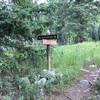 After this intersection, the Miller Fork Trail becomes obscure.