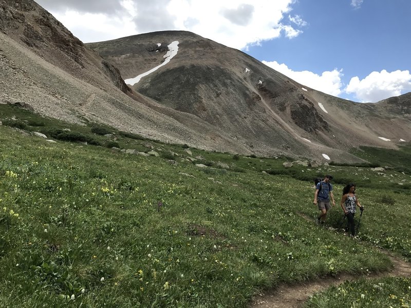 Heading back on the Iowa Gulch Trail with Mount Sheridan in the background.